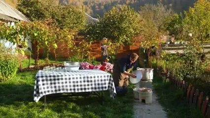 غذای روستایی در آذربایجان؛ تهیه مربا، کمپوت و آبمیوه با انار