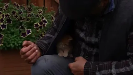 غذای روستایی در آذربایجان؛ تهیه پنیر موزارلا و پخت پیتزا در روستا