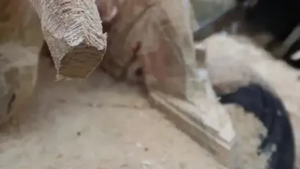 ساخت مجسمه غول پیکر چوبی زنبور با اره برقی به روش نجار اوکراینی