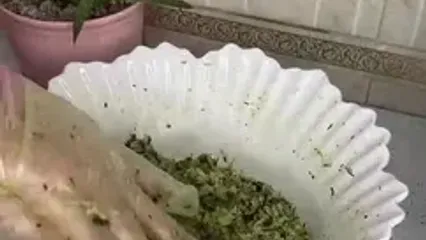 طرز تهیه کتلت آذربایجانی بدون گوشت و فوری