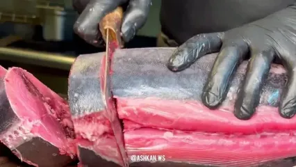 غذای خیابانی در ایران؛ برش ماهرانه ماهی تن و پخت یک غذای متفاوت با آن