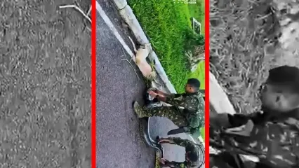 فیلم نجات قهرمانانه سگ از چنگال مار آناکوندا