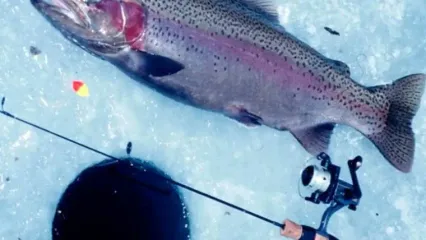 فیلم روش جالب ماهیگیری از دریاچه یخ زده