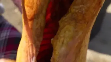 غذای روستایی در ایران؛ کباب کردن بره کامل در بشکه