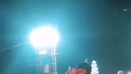 فیلم لحظه وحشتناک درگیری فیل ها در جشن محلی هند