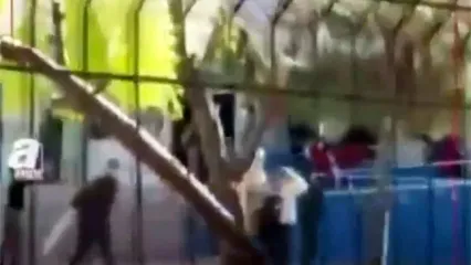 تیراندازی با تفنگ ساچمه‌ای در یک دبیرستان