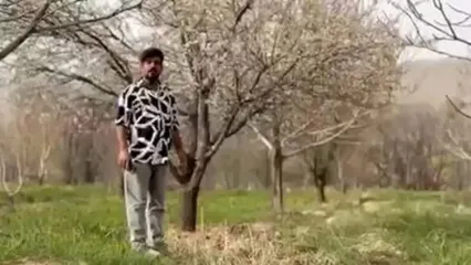 مژدگانی 10 میلیاردی برای یابنده خلبان آمریکایی