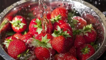 آلوده ترین میوه از نظر سموم کشاورزی را بشناسید + طرز تمیز کردن