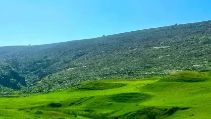 فیلم از دشت و خیال انگیز سوسن شهرستان ایذه