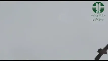 مشاهده همای سعادت بر فراز منطقه حفاظت‌شده سبزکوه چهارمحال‌وبختیاری