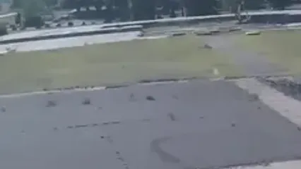 حمله کانگورو به پاراگلایدر پس از فرود
