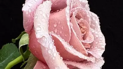 فال ابجد امروز 22 خرداد 1405