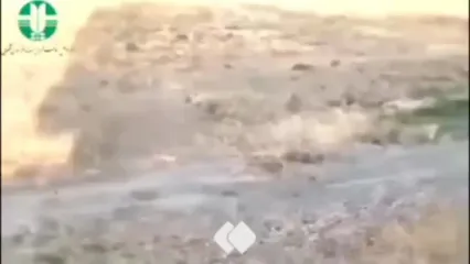 مسابقه یک آهو با قطار در میاندشت جاجرم!
