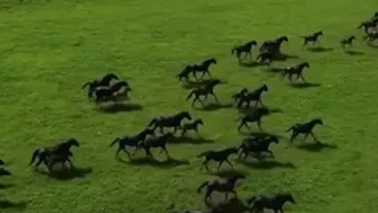 نمایی چشم‌نواز از قفقاز