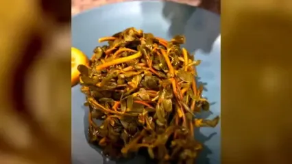 خواص خرفه برای بیماری های رایج در جهان