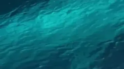 غول آرام اقیانوس در قاب پهپاد