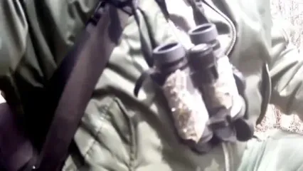 نمایی از پلنگ مازندران از قاب دوربین تله‌ای محیط‌بان