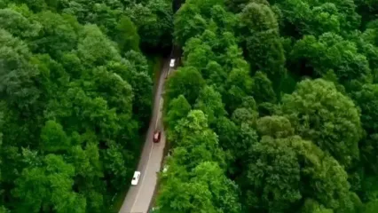 فیلم از طبیعت رویایی دیلمان