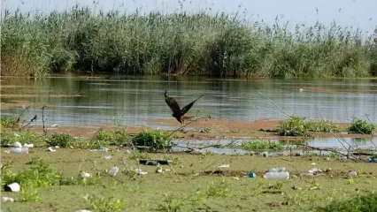 تالاب انزلی خشک شد
