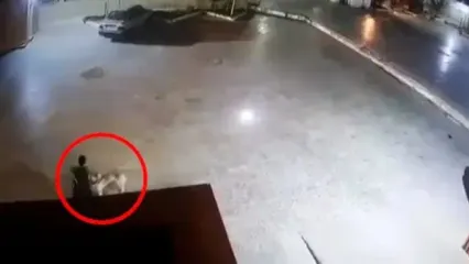 فیلم لحظه حمله سگ ولگرد به کودک دوچرخه‌سوار در زاهدان