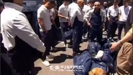 بازرسی بدنی بازیکنان ازبکستان با سگ‌های موادیاب