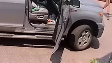 ورود غیرمنتظره خرس راننده وانت را شوکه کرد