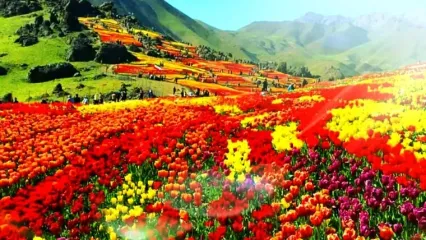 فال ابجد امروز 17 خرداد 1405