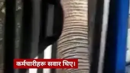 حمله نفس‌گیر فیل به یک اتوبوس