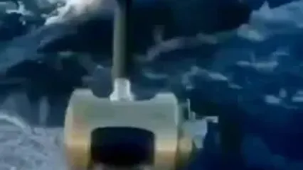 فیلم فرار لاکپشت برای بقا