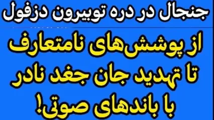 تصاویر منتشر شده از یک تور گردشگری خبرساز شد