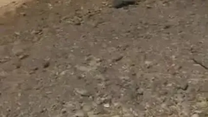 لاشه پهپاد منهدم شده آمریکایی در دهلران