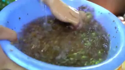 غذای روستایی در کامبوج؛ پخت یک غذای محلی با سفره ماهی و ماهی باکرل