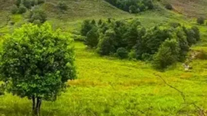 فیلم از زیبایی گلاسکو اسکاتلند