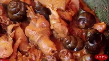 غذای روستایی در چین؛ پخت خوراک با حلزون، مرغ، سیر و فلفل توسط یک آشپز ماهر