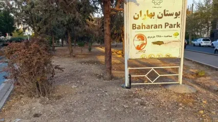 اینجا پارک بهاران باغ فیض گل‌ها خشک شدند، درختان قطع شدند / اولویت شهرداری منطقه ۵ پل های میلیاردی دوچرخه است یا فضای سبز؟