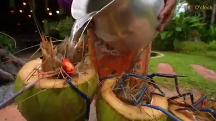 غذای روستایی در سنگاپور؛ پخت میگو داخل نارگیل و روی آتش