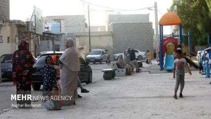 حرکت قشنگ و خودجوش مردم قشم برای نجات حیوانات