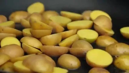 غذای روستایی در آذربایجان؛ پخت استیک و سیب زمینی به روشی خاص
