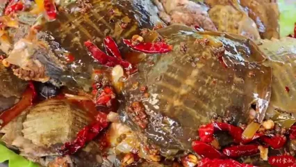 غذای روستایی در چین؛ پخت خوراک با لاک پشت لاک نرم و فلفل