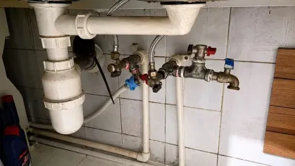 محاصره یک خانه در شرق تهران توسط موش‌های فاضلابی/ زن تهرانی: در اتاق‌ها می‌چرخند و زندگی می‌کنند!