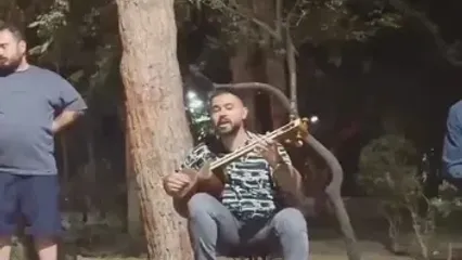 کنسرت ویژه گربه ها در یکی از پارک های تهران