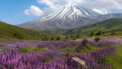 دشت زیبای گون؛ یکی از خاص‌ ترین منظره‌ های دامنه دماوند
