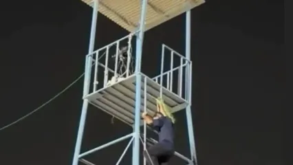 نردبان مرگ در شهر قدس که ترس به جان فیلمبرداران می‌اندازد!