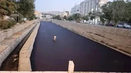 پایان آسفالت‌کشی عجیب بستر رودخانه الیگودرز