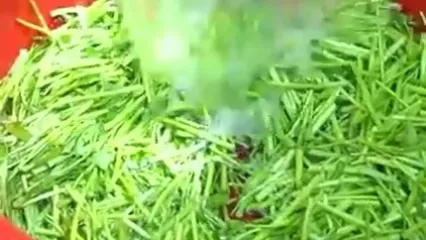 غذای روستایی در کامبوج؛ پخت یک غذای خاص با دو گربه ماهی بزرگ