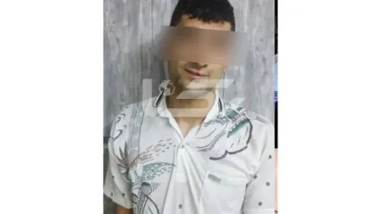 فیلم لحظه بازداشت دزد حرفه ای در افسریه تهران