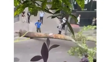تصادف هولناک در خیابان فرشته؛ خودرو درخت را از ریشه کند