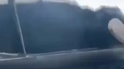 حمله ناگهانی گاو نر به خودرو در حال حرکت