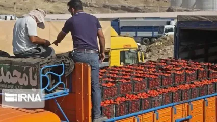 هجوم مردم برای جمع‌کردن رب گوجه پس از واژگونی کامیون