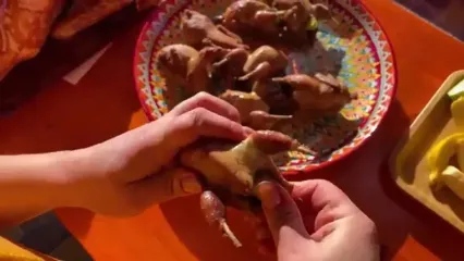 غذای روستایی در اوکراین؛ کباب کردن غاز پر شده با بلدرچین در فر
